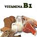 ingredient Vitamina B1
