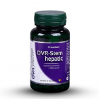DVR Stem Hepatic